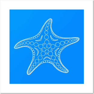 Starfish (white/indigo) Posters and Art